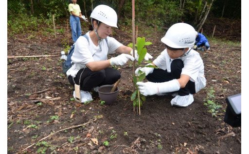 7☆:植林プロジェクト