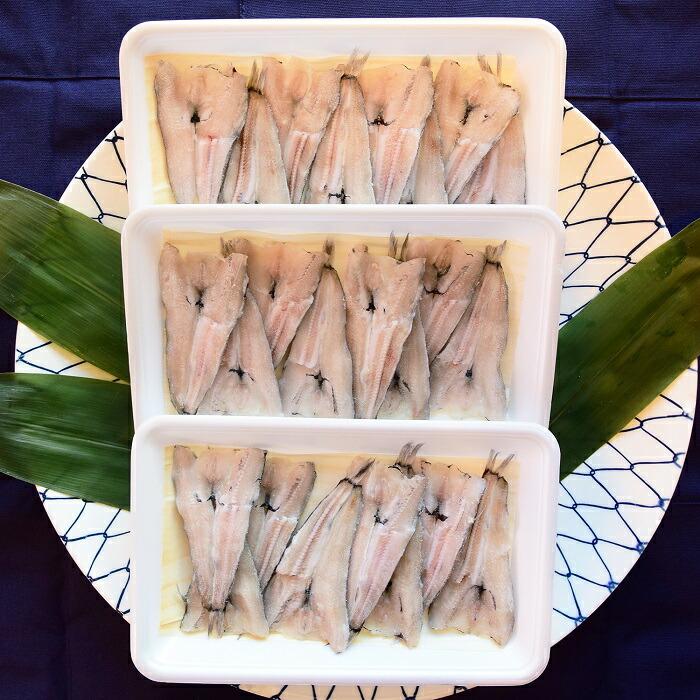 【魚屋の娘厳選】小名浜 メヒカリの開き干し