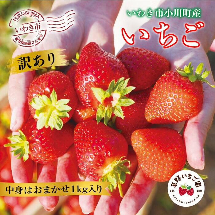 〈先行予約〉訳あり【産地直送】いわき市産いちご　草野いちご園のいちごの詰め合わせ820g（中身はお任せ）  | BB032