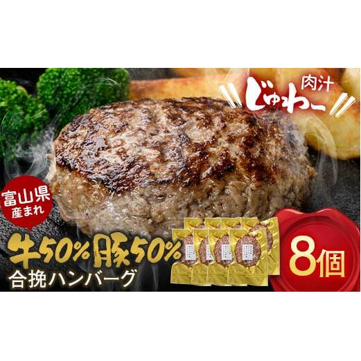 富山県産 牛50％ 豚50％ 合挽ハンバーグ 8個セット カシワファーム 和牛 牛肉 おかず 惣菜 時短 冷凍 富山県 立山町 お歳暮 お中元 F6T-553