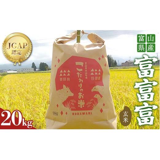 《数量限定》令和7年度産 富富富 玄米 20kg 米 お米 新米 ごはん おにぎり 富山 立山 北アルプス 健康志向 JGAP認定 F6T-848