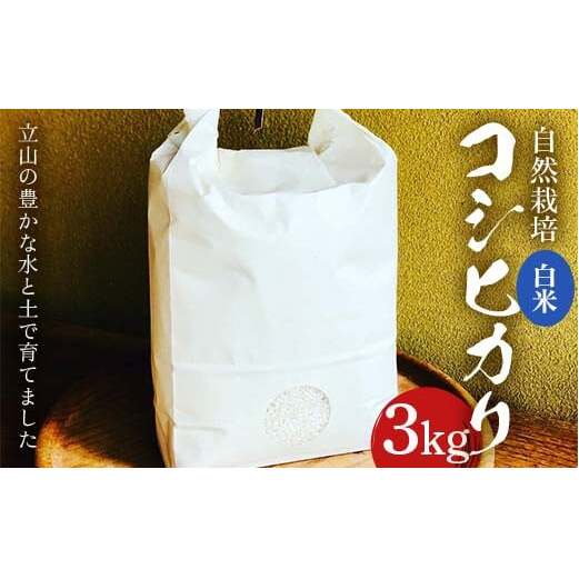 米 自然栽培 コシヒカリ 3kg  白雪農園 お米 精米 こしひかり 農家 美味しい 富山県 立山町 F6T-173