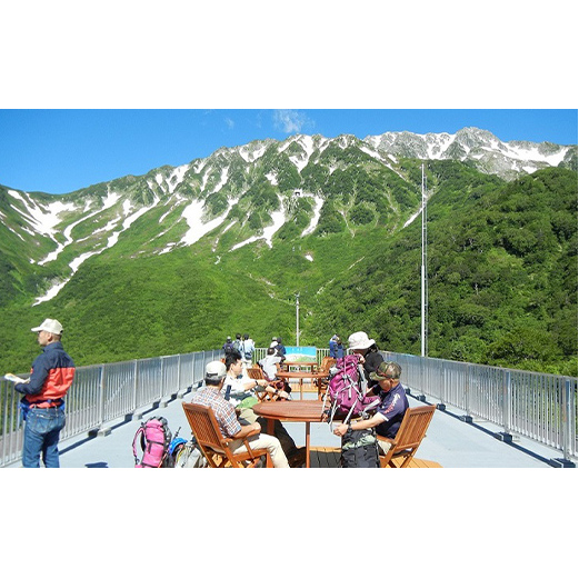 立山黒部アルペンルート ( 立山駅 ～ 室堂駅 ※往復 ) 優待券 立山黒部貫光観光 旅行 券 チケット 体験 トラベル 黒部 富山県 立山町  F6T-153 | 富山県立山町 | JRE MALLふるさと納税