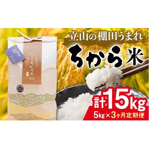 ＜定期便＞立山のちから米 コシヒカリ 各5kg ＜全3回＞ 計15kg 3ヶ月連続 5kg 定期便 定期配送 ちから米 こしひかり 銘柄米 ブランド米 国産 米 お米 日本米 ギフト 贈り物 備蓄 防災 食品 F6T-870