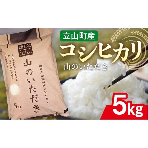 立山産 コシヒカリ 「山のいただき」 5kg 昆虫王国立山 立山自然ふれあい館 米 お米 コメ 白米 こしひかり 美味しい 富山県 立山町 F6T-518