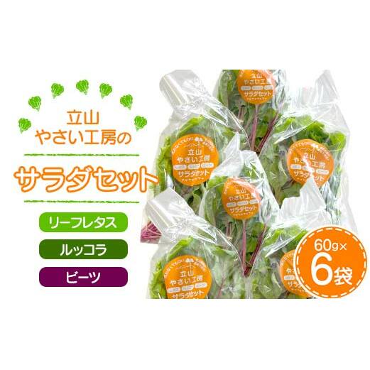 立山やさい工房のサラダセット(60g×6袋) 富山県 立山町 F6T-088