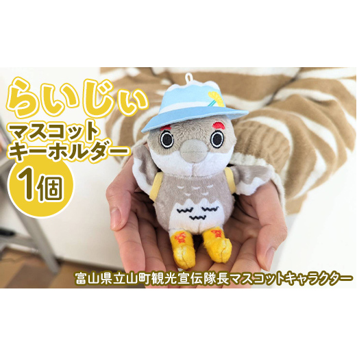 【らいじぃ】マスコットキーホルダー らいじぃ ライチョウ ご当地キャラ キャラクター キーホルダー ぬいぐるみ パンフレット 富山県 立山町 F6T-474