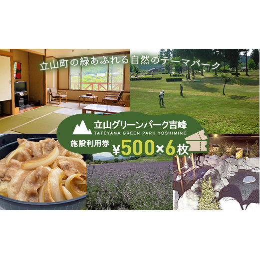 立山グリーンパーク吉峰 施設利用券 500円×6枚 テーマパーク 自然 バーベキュー パークゴルフ アウトドア 天然温泉 F6T-455