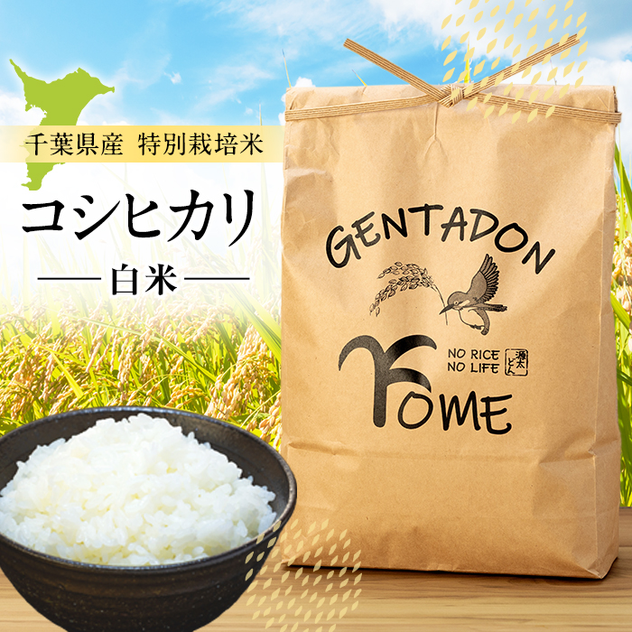 AB1-005 特別栽培米 コシヒカリ(白米)9kg