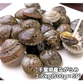 千葉県産ながらみ 2.5kg