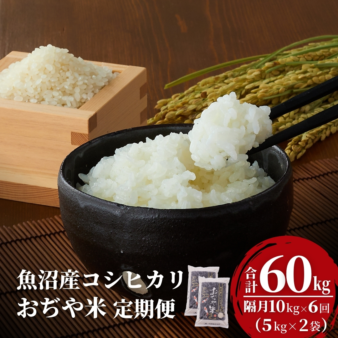 【6か月定期便(隔月発送)】 令和7年産新米 魚沼産コシヒカリ 精米10kg(5kg×2袋)×全6回 ※2025年10月上旬から発送予定 JA魚沼 【0002-JA09DB00-01】