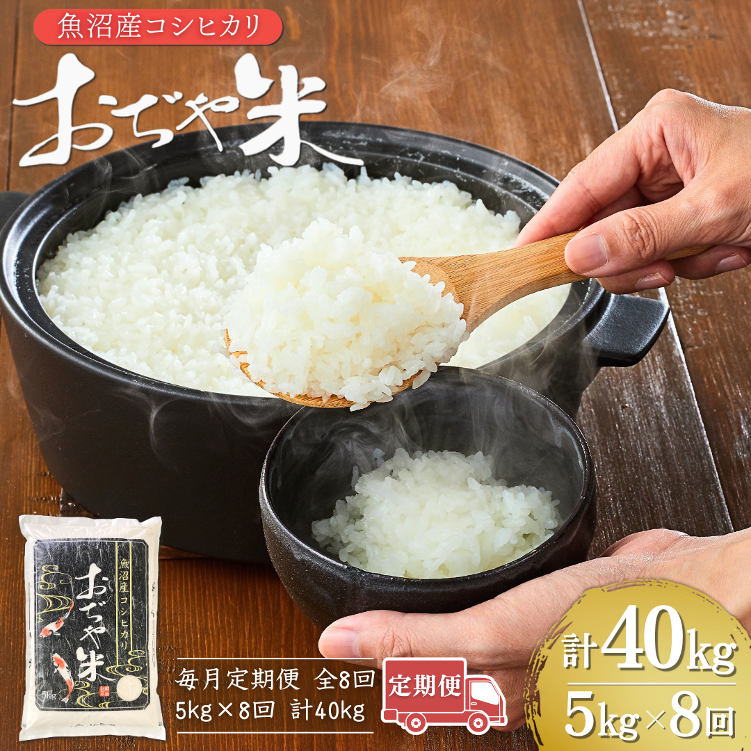 【8か月定期便(毎月発送)】 令和7年産 魚沼産コシヒカリ「おぢや米」 計40kg(5kg×1袋×全8回) | 新潟県産コシヒカリ 米 お米 こめ こしひかり 魚沼産 小千谷市 白米 精米 ブランド米【0002-JA10DB00-01】