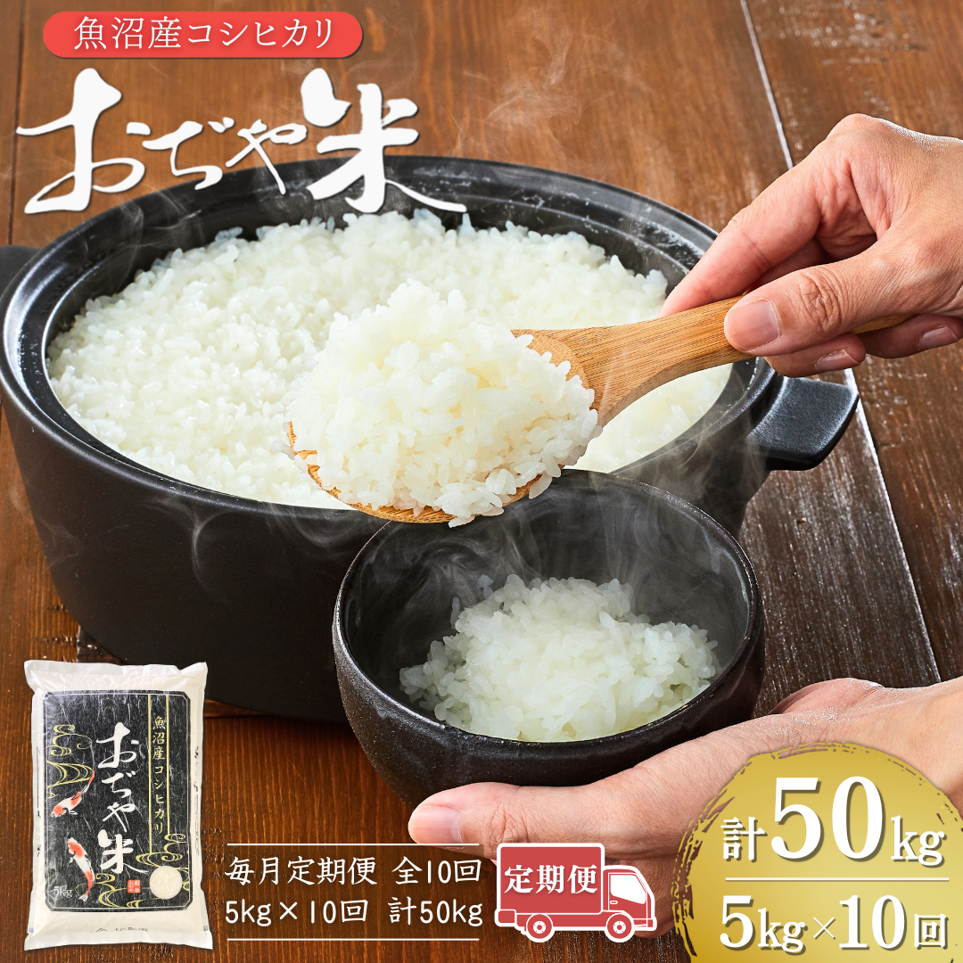 【10か月定期便(毎月発送)】 令和7年産 魚沼産コシヒカリ「おぢや米」 計50kg(5kg×1袋×全10回) | 新潟県産コシヒカリ 米 お米 こめ こしひかり 魚沼産 小千谷市 白米 精米 ブランド米【0002-JA11DB00-01】