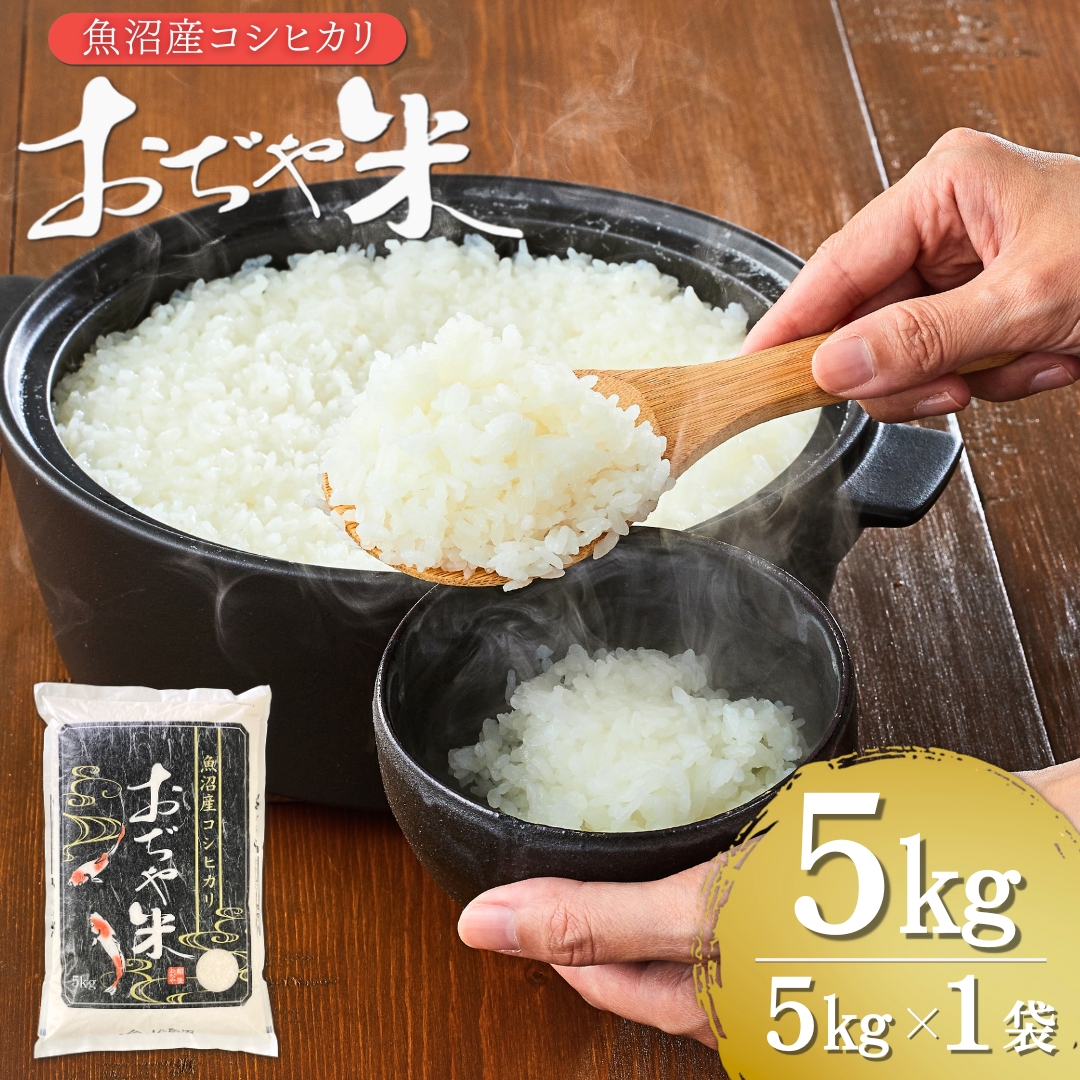 令和7年産 魚沼産コシヒカリ 5kg JA魚沼 【0002-JA02-01