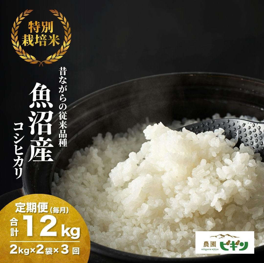 【令和8年産 先行予約】 昔ながらの魚沼産コシヒカリ 精米12kg(2kg×2袋×毎月全3回) 農園ビギン 【0002-BN06DB00-02】