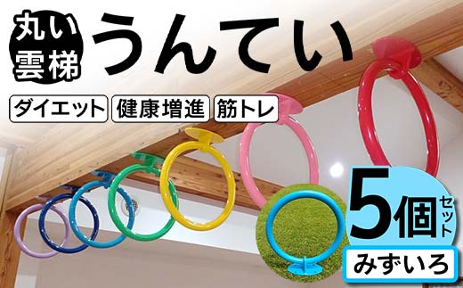 丸い 雲梯(うんてい) 5個セット <みずいろ> 雲梯 ウンテイ 健康 健康増進 ダイエット 筋トレ F21E-279