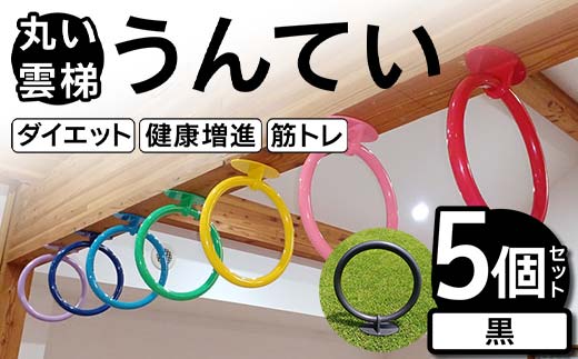 丸い 雲梯(うんてい) 5個セット <黒> 雲梯 ウンテイ 健康 健康増進 ダイエット 筋トレ F21E-281