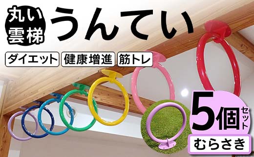 丸い 雲梯(うんてい) 5個セット <むらさき> 雲梯 ウンテイ 健康 健康増進 ダイエット 筋トレ F21E-282