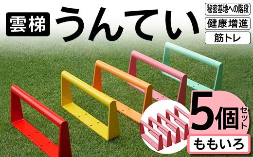 雲梯(うんてい)5個セット <ももいろ> 雲梯 ウンテイ 健康 健康増進 ダイエット 筋トレ 屋根裏や秘密基地への階段 F21E-261