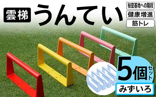 雲梯(うんてい)5個セット <みずいろ> 雲梯 ウンテイ 健康 健康増進 ダイエット 筋トレ 屋根裏や秘密基地への階段 F21E-263
