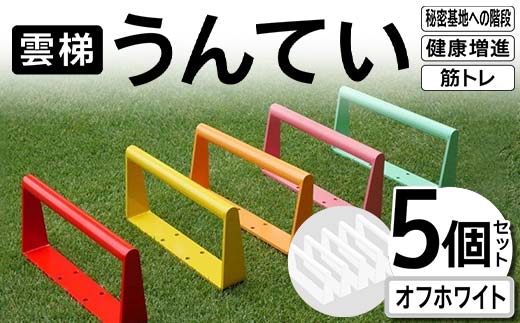 雲梯(うんてい)5個セット <オフホワイト> 雲梯 ウンテイ 健康 健康増進 ダイエット 筋トレ 屋根裏や秘密基地への階段 F21E-265