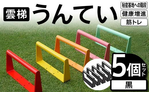 雲梯(うんてい)5個セット <黒> 雲梯 ウンテイ 健康 健康増進 ダイエット 筋トレ 屋根裏や秘密基地への階段 F21E-266