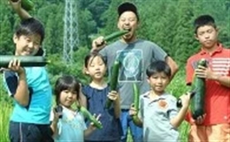 子どもたちの自然体験活動に関する事業