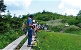 登山道、遊歩道及びトイレ等の環境整備に関する事業