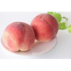 【2026年発送】長野県 北信州の桃 約1.5kg(4~7玉)品種おまかせ 贈答にもおすすめ【配送不可地域:離島】【1575716】