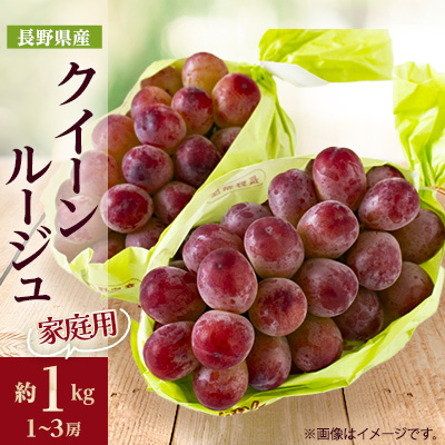 家庭用【2025年先行受付】長野限定 信州産クイーンルージュ(赤ぶどう) 約1kg(1~3房)【配送不可地域:離島】【1576735】