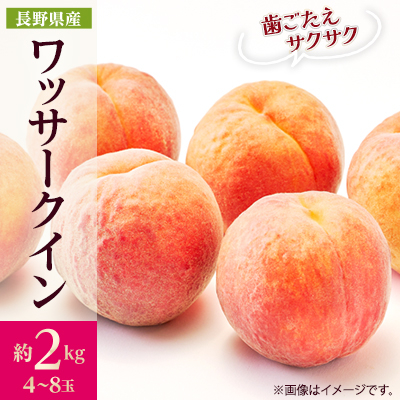 【2026年発送】フルーツ王国 長野県信州直送 ワッサークイン 約2kg(4~8玉)【配送不可地域:離島】【1577369】