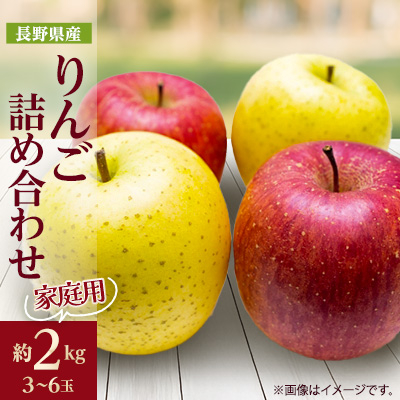 家庭用【2025年発送】 りんご サンふじ&シナノゴールド 詰め合わせ 約2kg(3~6玉程度)【1577926】