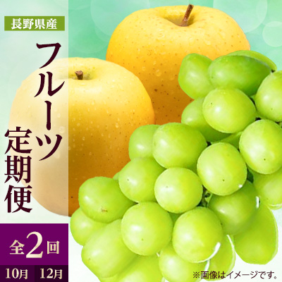 【発送月固定定期便】2026年発送 長野の果物 シャインマスカット+シナノゴールド全2回【配送不可地域：離島】【4063515】