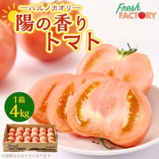 『陽の香り』トマト4kg箱満杯詰め 長野の自然が育てた恵 (個数おまかせ)【1342500】