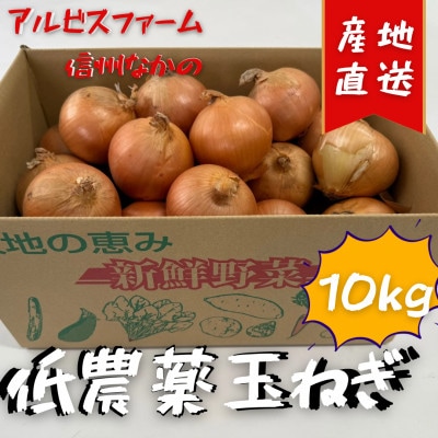 低農薬で作られた甘い玉ねぎ 10kg【1626400】