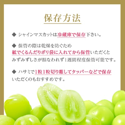 2025年発送】シャインマスカット2房1kg以上 JA中野市から直送【配送不可地域：離島】【1272457】 | 長野県中野市 | JRE MALL ふるさと納税