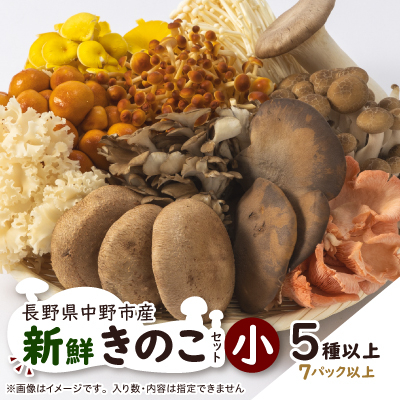 キノコでカラダを整える!新鮮きのこ詰め合わせ 小(5種類以上/7パック以上)【配送不可地域：離島】【1330946】