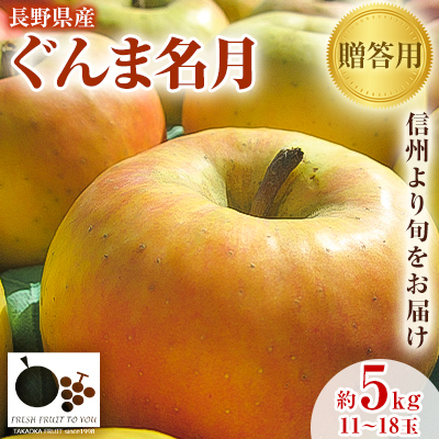 「産地より信州中野の旬をお届け」 長野県産ぐんま名月 贈答用 約5kg【1305055】