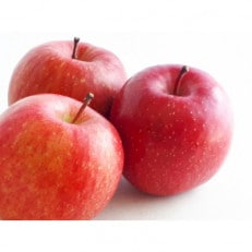 【2026年発送】フルーツ王国 長野県産 りんご シナノドルチェ 約3kg(7~11玉程度)【1541902】