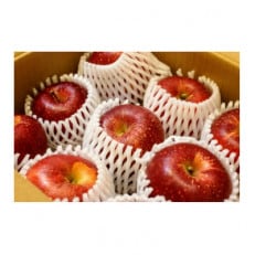 【2026年発送】フルーツ王国 長野県産 りんご 紅玉(こうぎょく) 約3kg(7~11玉程度)【1541927】