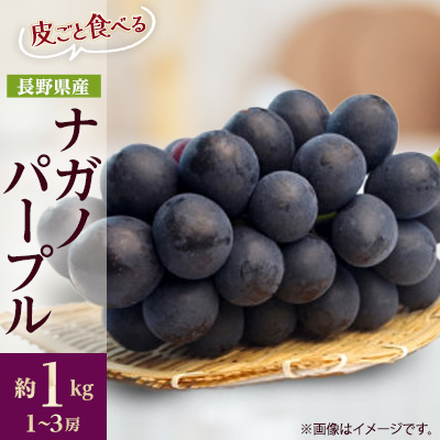 【2025年先行受付】フルーツ王国信州産地直送　皮ごと食べられるナガノパープル　約1kg(1～3房)【配送不可地域：離島】【1541964】