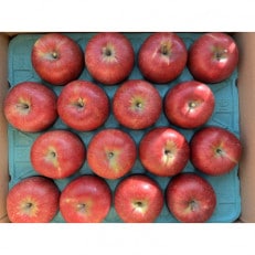 シャキシャキッ!完熟サンふじ 贈答用 約5kg【1558028】