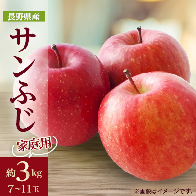【家庭用】りんごの王様　長野県産 りんご　サンふじ　約3kg(7～11玉程度)【1574732】