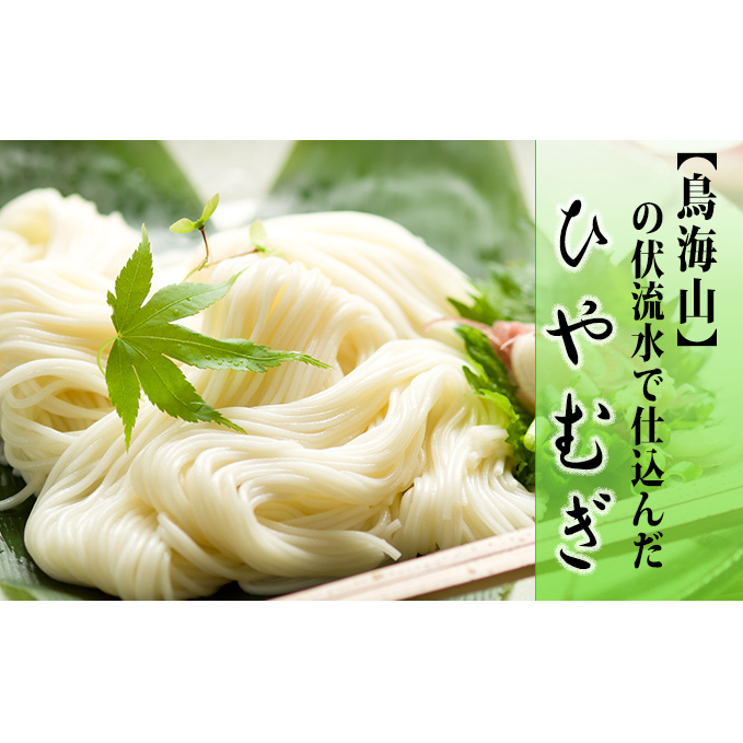 ひやむぎ200g×10束（20人前 冷麦 冷や麦） 麺類 