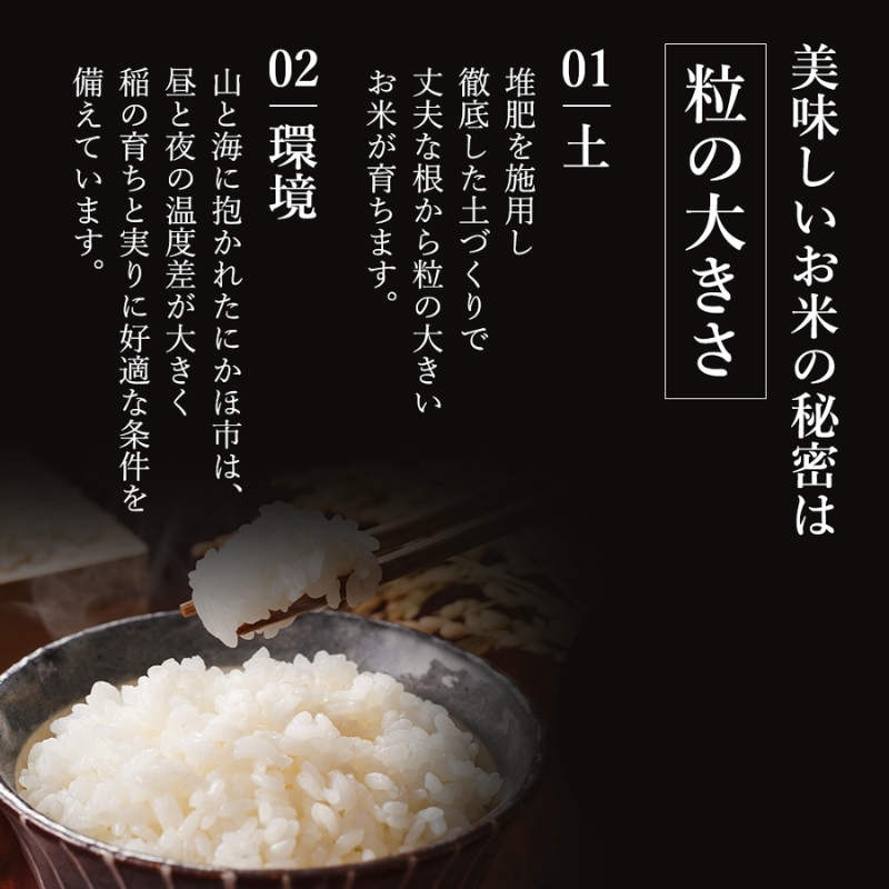 米 定期便 全5回 秋田県産 ひとめぼれ 10kg (5kg×2)×5回 計50kg