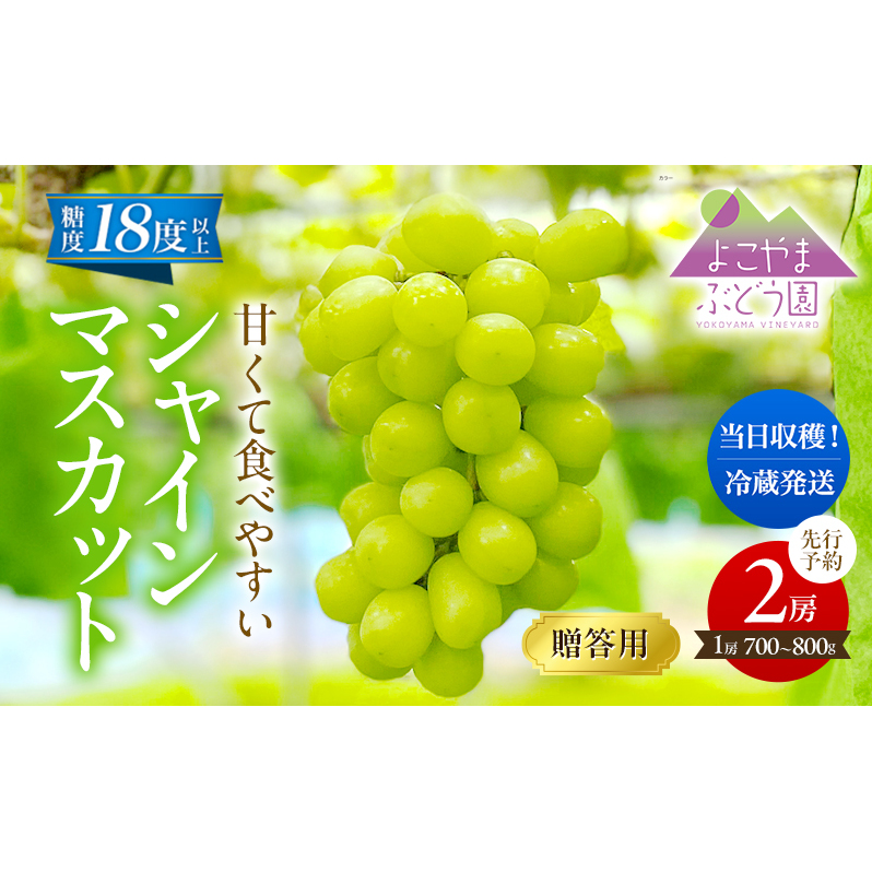 先行予約 [贈答用/熨斗なし化粧箱] 甘く食べやすい シャインマスカット 2房（1房 700～800g）＜出荷時期：2025年10月上旬～10月下旬ごろ＞数量限定 期間限定 果物 フルーツ ぶどう ブドウ マスカット ギフト