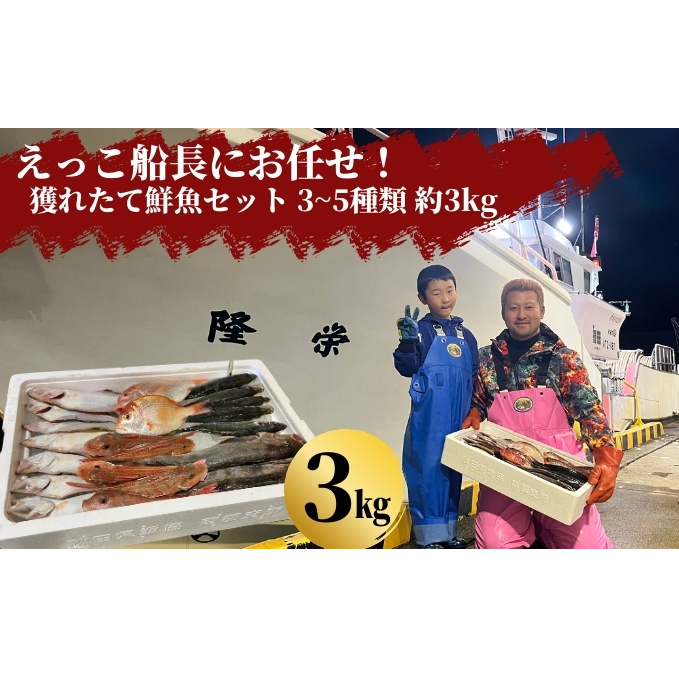 えっこ船長にお任せ！獲れたて鮮魚セット 3～5種類 約3kg（鮮魚 詰合せ ボックス）