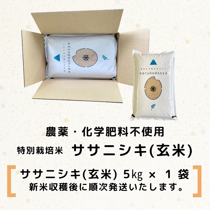 令和5年産新米予約】【玄米】栽培期間中農薬・化学肥料不使用 特別栽培米ササニシキ5kg | 秋田県にかほ市 | JRE MALLふるさと納税