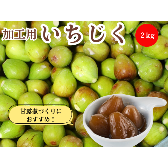期間限定 加工用 生いちじく 2kg 秋田県にかほ市産 北限のいちじく ホワイトゼノア