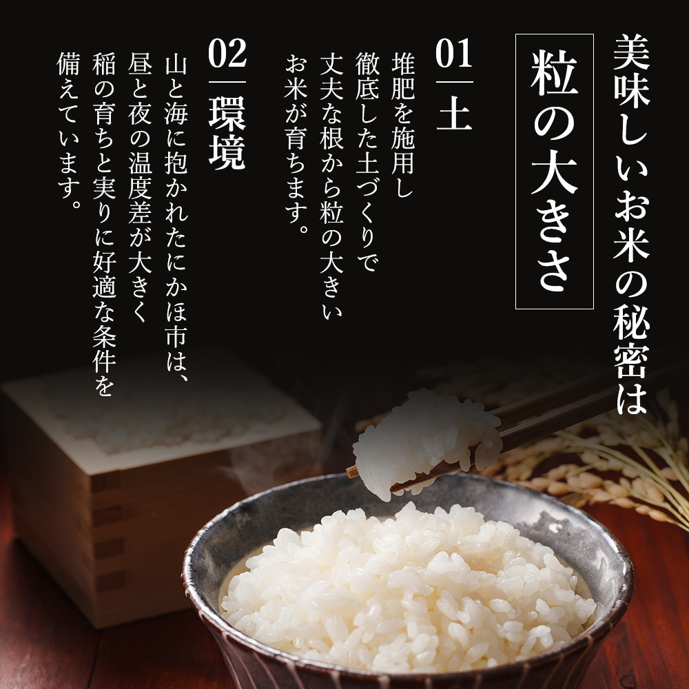 ★生活応援１０％(２kg)増量★あきたこまちブレンド白米合計（２２kg）送料込み 米 定期便 全10回 秋田県産 あきたこまち 2kg ×10回 計20kg 令和